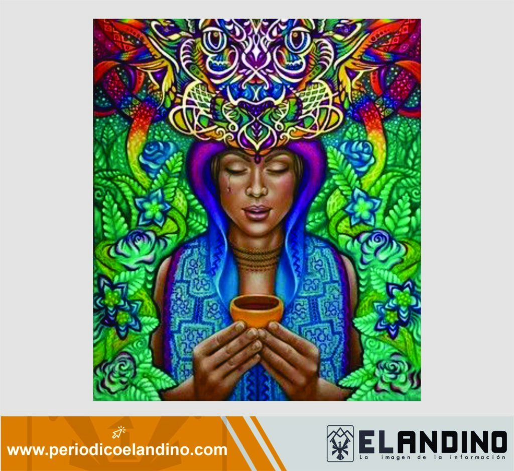 Yagé: El viaje es hacia dentro / Por Bi Higuera Viajera