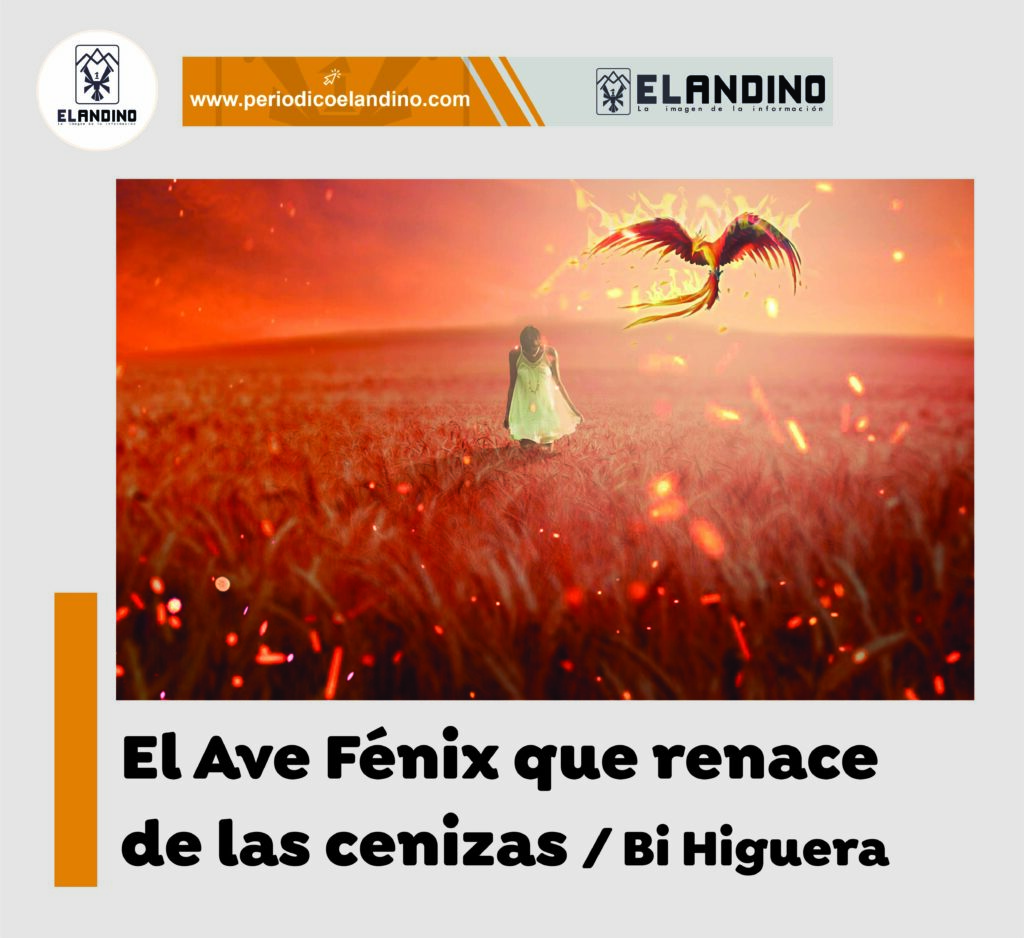 De habitante de calle a Ave Fénix  / Por Bi Higuera