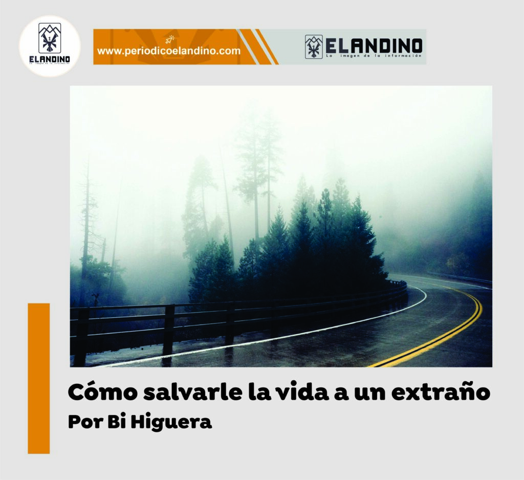 Cómo salvarle la vida a un extraño (Basado en hechos reales) / Por Bi Higuera