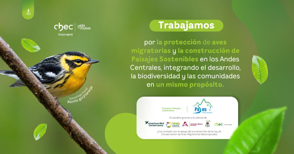 Por la protección de Aves Migratorias